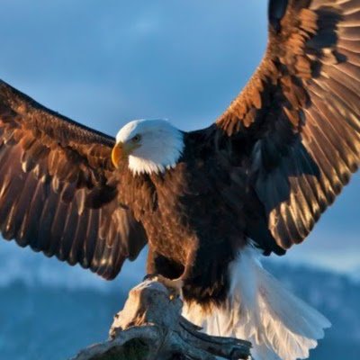 Gambar riwayat simonnurak17@gmail.com